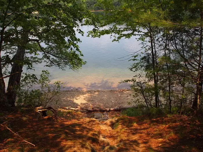 Walden