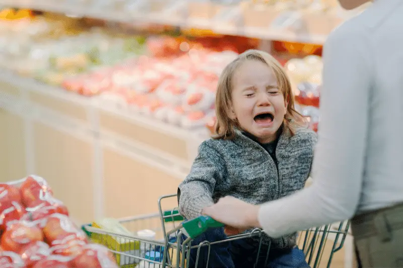 what to do when your child has a meltdown in public