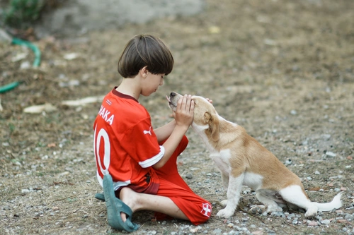 Boy playfully covering a dog’s eyes with his hands