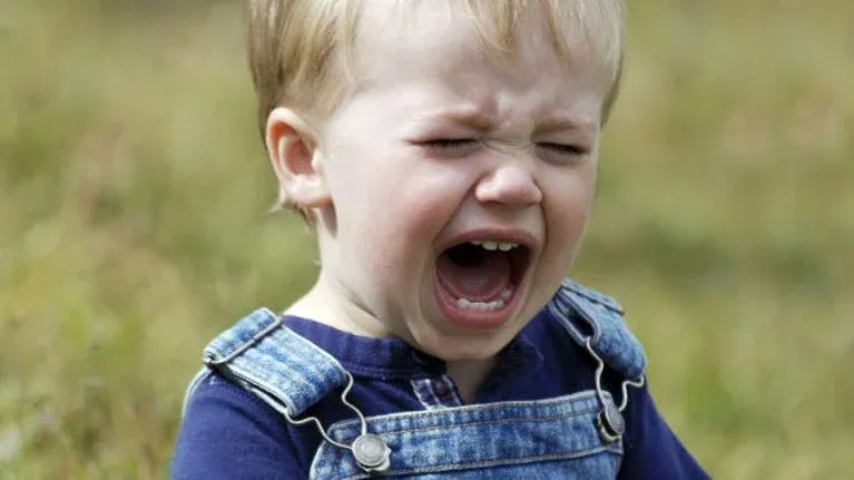 common triggers behind constant toddler screamin