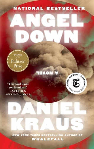 Angel Down Book Review: War, Faith, and the Horror of Holiness