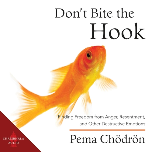 Best Books About Finding Peace Pema vs. Circle