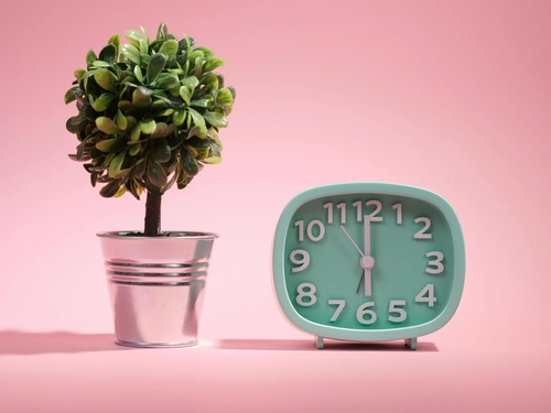 How Long Does It Take to Build a New Habit My 66-Day Truth
