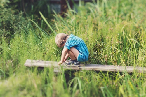 How to Help Siblings Get Along When They Fight All Day