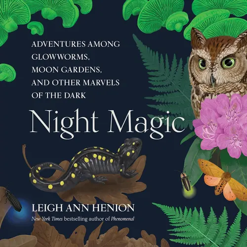 Night Magic Book Review The People Who Stay