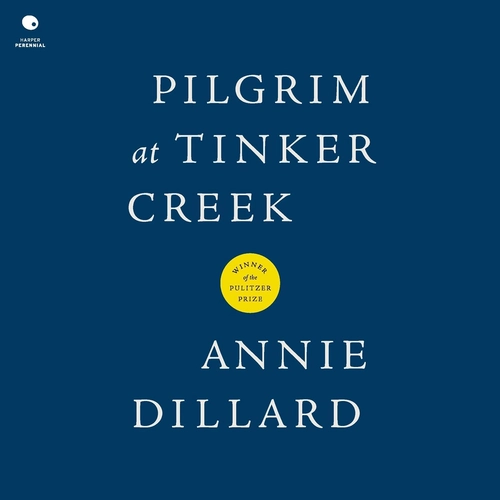 Pilgrim at Tinker Creek Book Review The Question That Stares Back