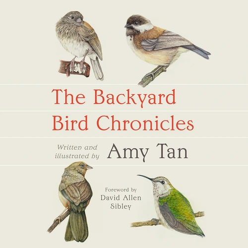 The Backyard Bird Chronicles Book Review: The Art of Standing Still