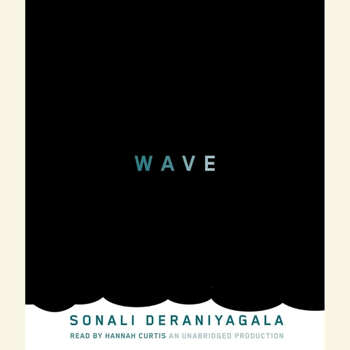 Wave Book Review The Room Where They Still Are