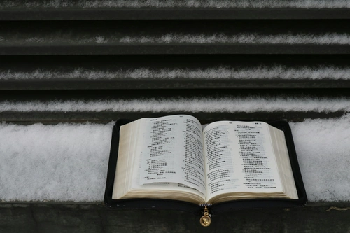 Why God Allows Pain and How to Find Purpose in It
