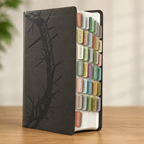 KJV Holy Bible Large Print with Bible Tabs Set