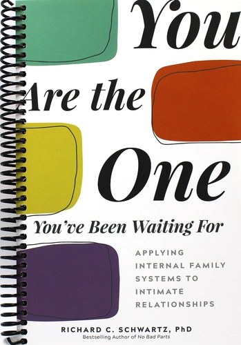 You Are the One You've Been Waiting For by Richard Schwartz