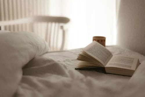 Awakening to Human Nature Book Review The Case for Seeing People Clearly