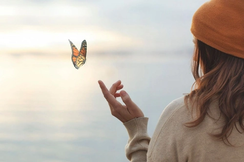 Books on Finding Yourself When Life Feels Loud