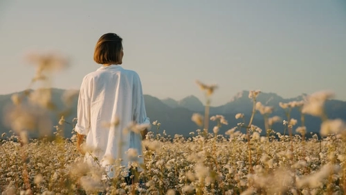 Books on Finding Yourself When Life Feels Loud