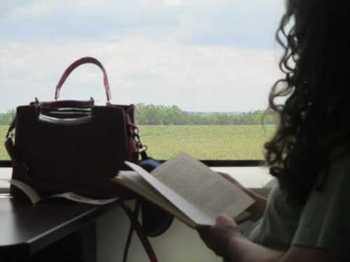Break the Anxiety Circle Book Review The Mind That Will Not Sit Still