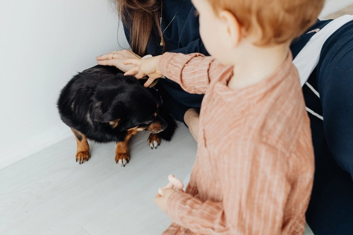 How to Correct Behavior Without Punishment That Actually Works