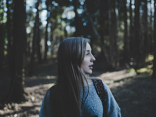 Understanding Human Nature The Psychology of Personality