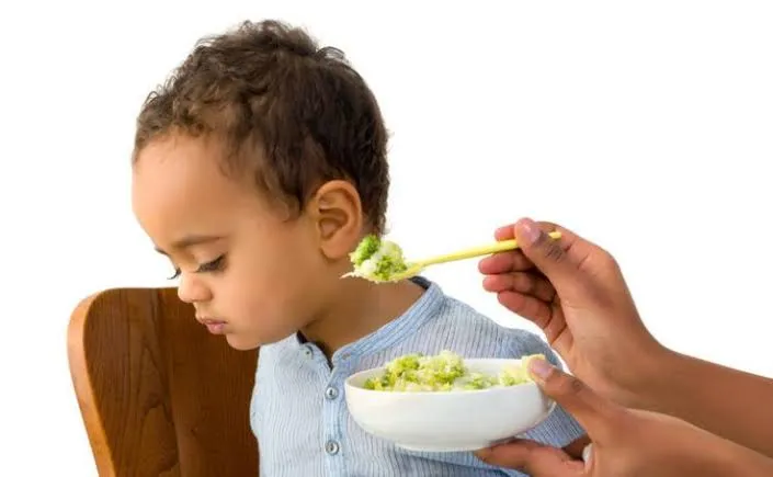 A Parenting Book for Picky Eaters