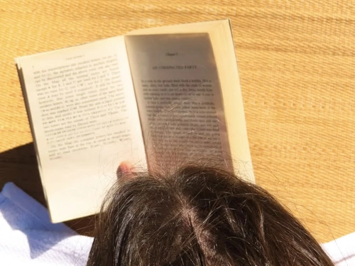 Best Books to Stop Overthinking That Quiet the Loop
