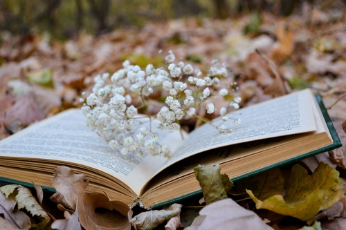 10 Best Emotional Healing Books for Working Through Difficult Emotions