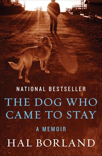 The Dog Who Came to Stay Book Review: Who Rescued Whom?